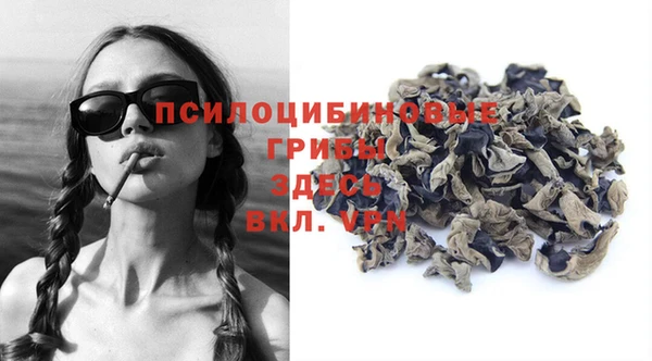 spice Алексин