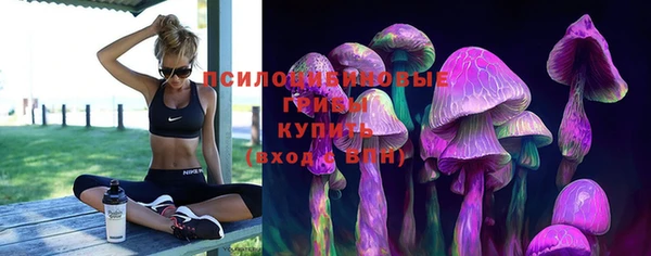 синтетический гашиш Алексеевка