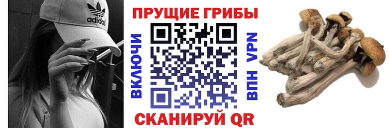 Псилоцибиновые грибы MAGIC MUSHROOMS  Лесной 