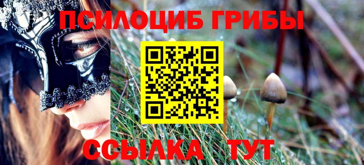 Псилоцибиновые грибы мухоморы Лесной