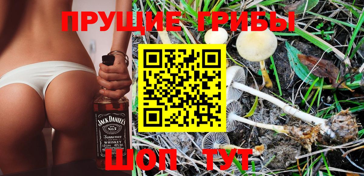 Псилоцибиновые грибы MAGIC MUSHROOMS  Вход с VPN  Лесной  Галлюциногенные грибы MAGIC MUSHROOMS 