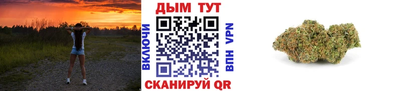 Бошки Шишки MAZAR  MEGA маркетплейс  Лесной 